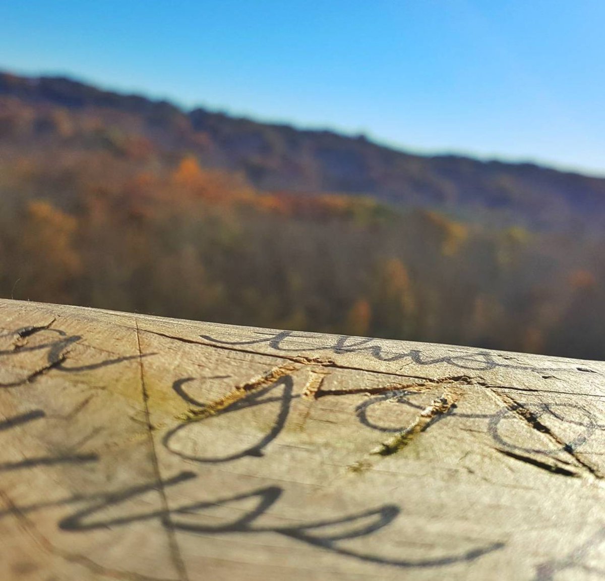 Co_Dependently's tweet photo. #hiddenmessages https://t.co/fMiJofJ7ip
