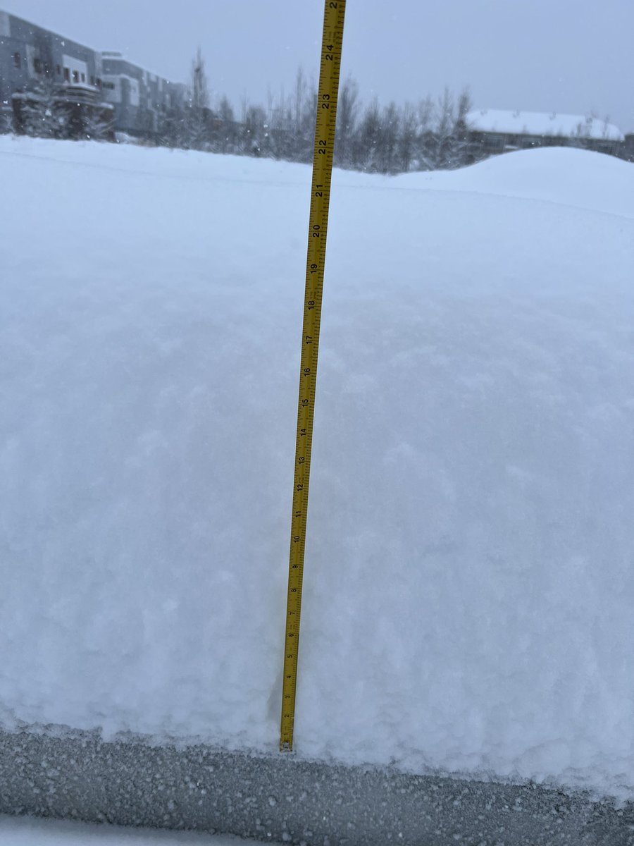 daniel_plumley_'s tweet photo. @NWSAnchorage At least 21 inches at 7820 Debarr Rd https://t.co/C5HB191mhC