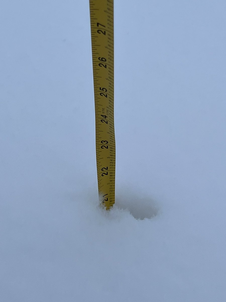 daniel_plumley_'s tweet photo. @NWSAnchorage At least 21 inches at 7820 Debarr Rd https://t.co/C5HB191mhC
