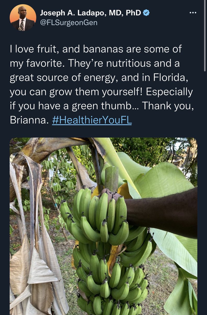 Public health, California vs Florida