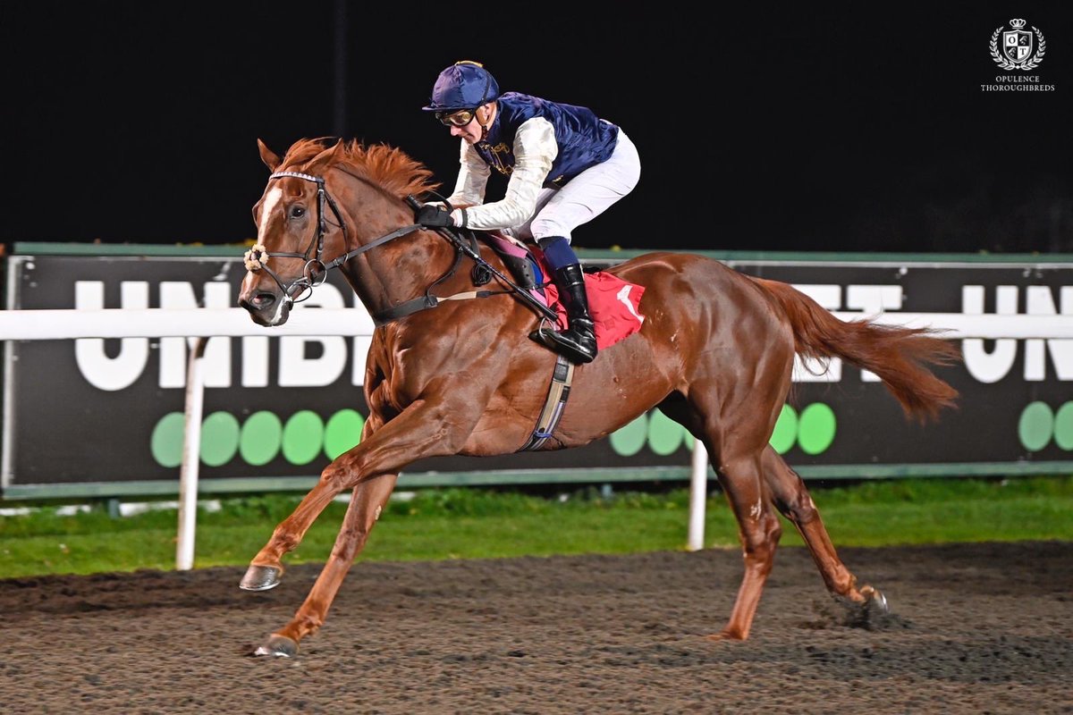 OpulenceThoroughbreds (@opthoroughbreds) on Twitter photo 🅦🅘🅝🅝🅔🅡 - Third win of the day for our owners, with DIONYSIAN landing his second victory in a row with ease 🥳
A big congratulations to <a href="/WilliamsStuart/">Stuart Williams</a> for his second win of the day, jockey <a href="/HectorCrouch/">Hector Crouch</a> and DIONYSIAN’s owners!
#OpulenceThoroughbreds 🅦🅘🅝🅝🅔🅡 - Third win of the day for our owners, with DIONYSIAN landing his second victory in a row with ease 🥳
A big congratulations to <a href="/WilliamsStuart/">Stuart Williams</a> for his second win of the day, jockey <a href="/HectorCrouch/">Hector Crouch</a> and DIONYSIAN’s owners!
#OpulenceThoroughbreds