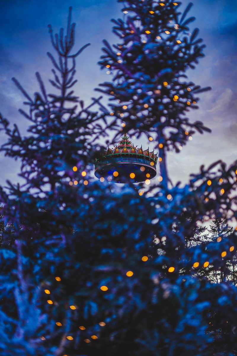 Kris From Belgium tweet media