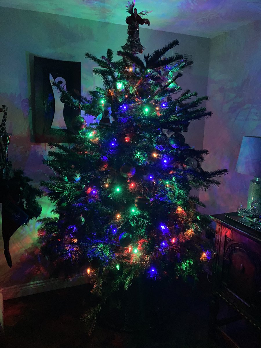 karldaly1's tweet photo. Relaxing evening locked away putting up this guy and listening to this guy #ItsBeginningToLook https://t.co/SciVgasoSM