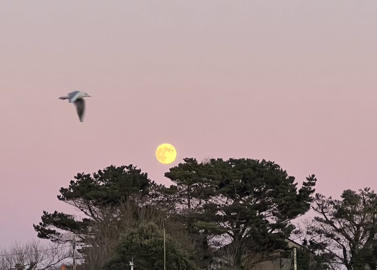 JackiHicks's tweet photo. A shopping trip to Truro and home to this … #HayleHarbour ⛵️#Sunset 🌅 #Almostafullmoon 🌝 https://t.co/wf4O1ohmzp