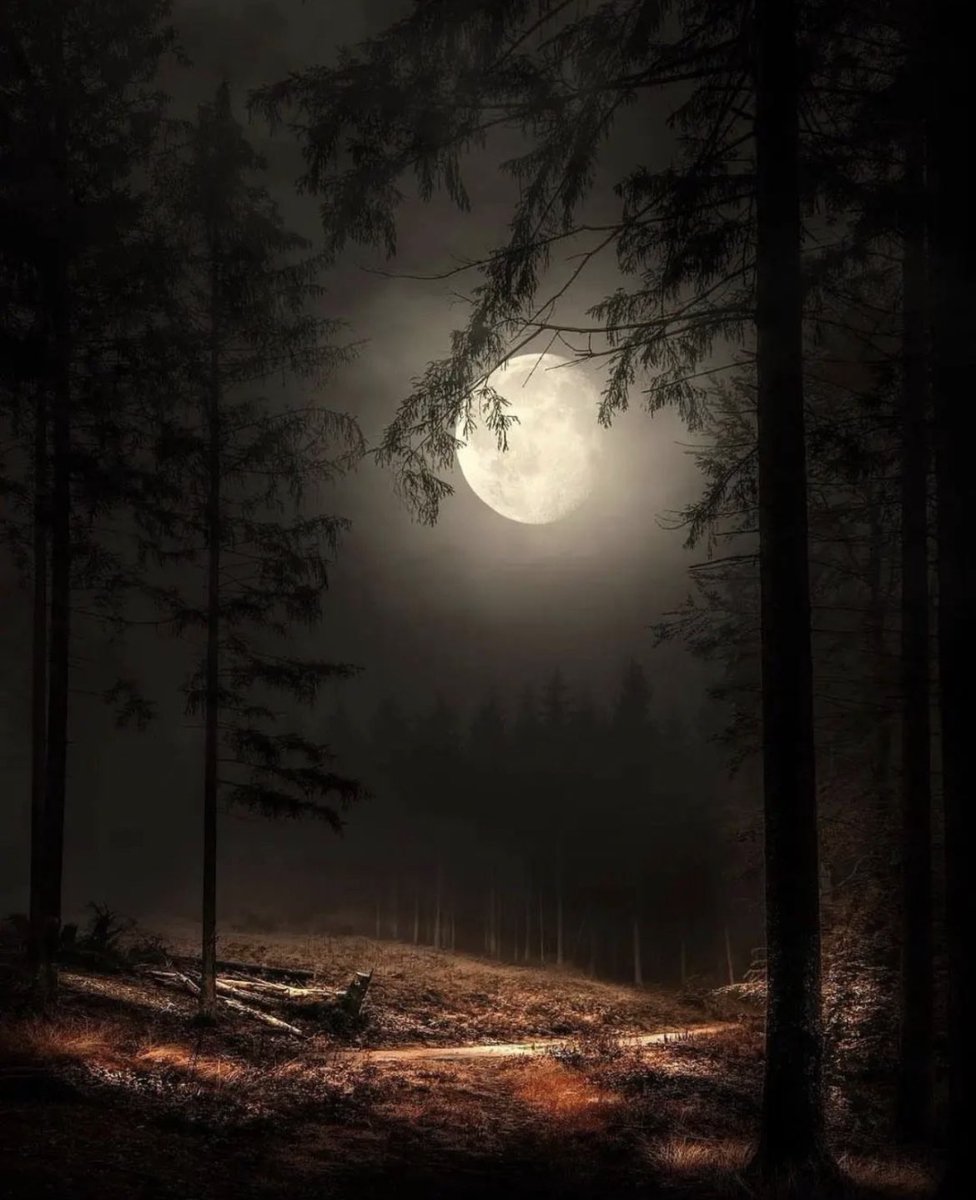 M1ONLOVER's tweet photo. Moon and nature. https://t.co/f6soOEYDO4
