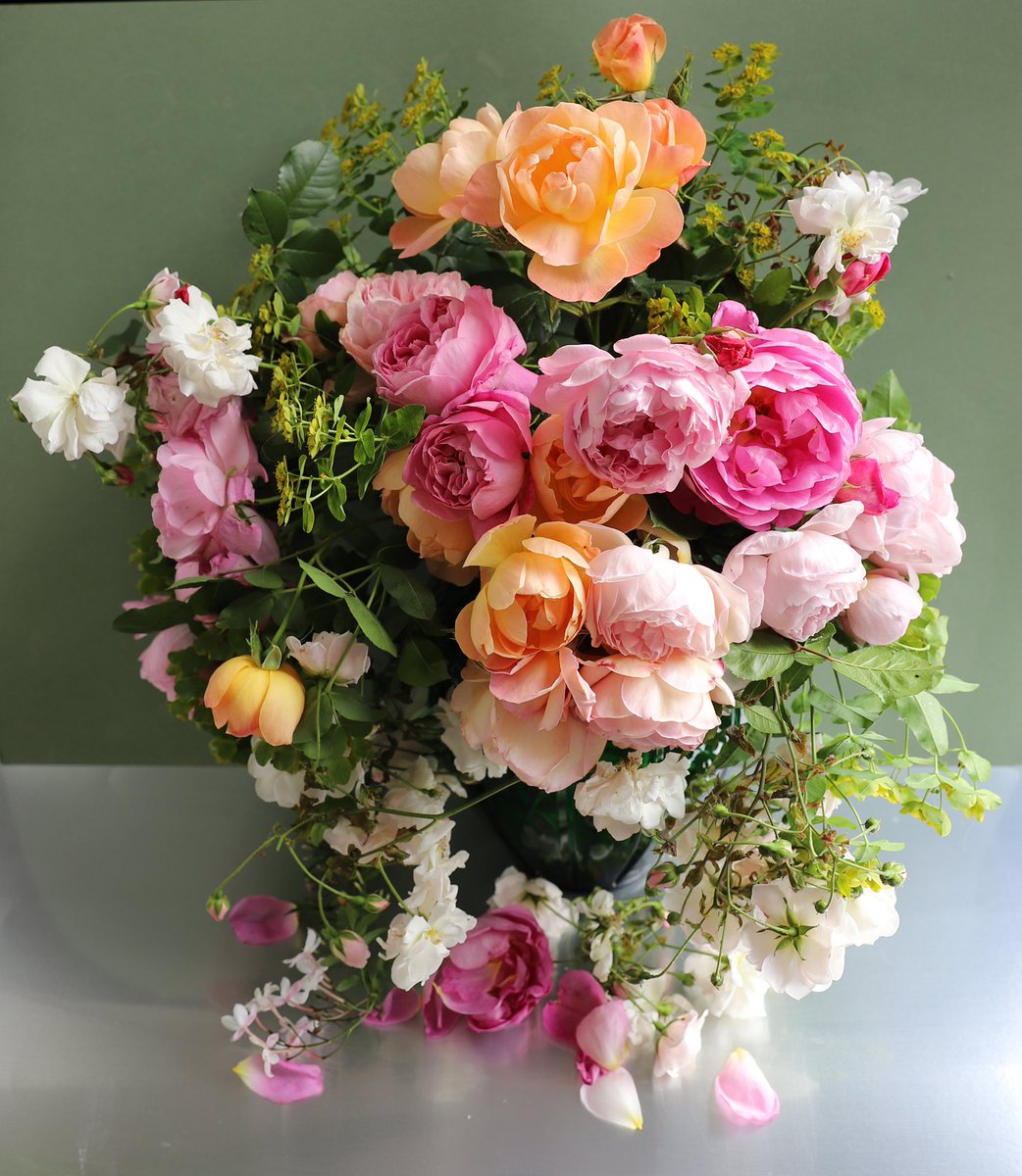 Roses from my London garden in June.