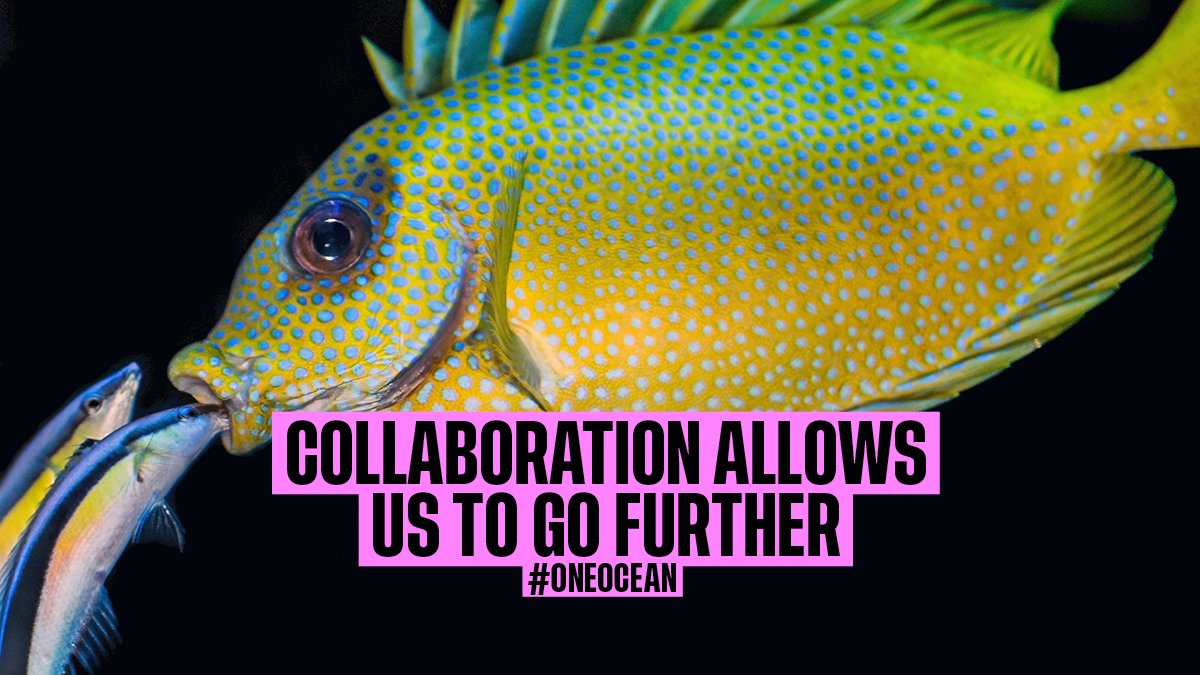 We have one ocean and its health is in dramatic decline.

Recovery depends on us working together to deepen our understanding, and using this knowledge to find the best ways to restore. 📈

Support our ocean: bit.ly/3OC5Gy3 Claim your free One Ocean poster

#OneOcean