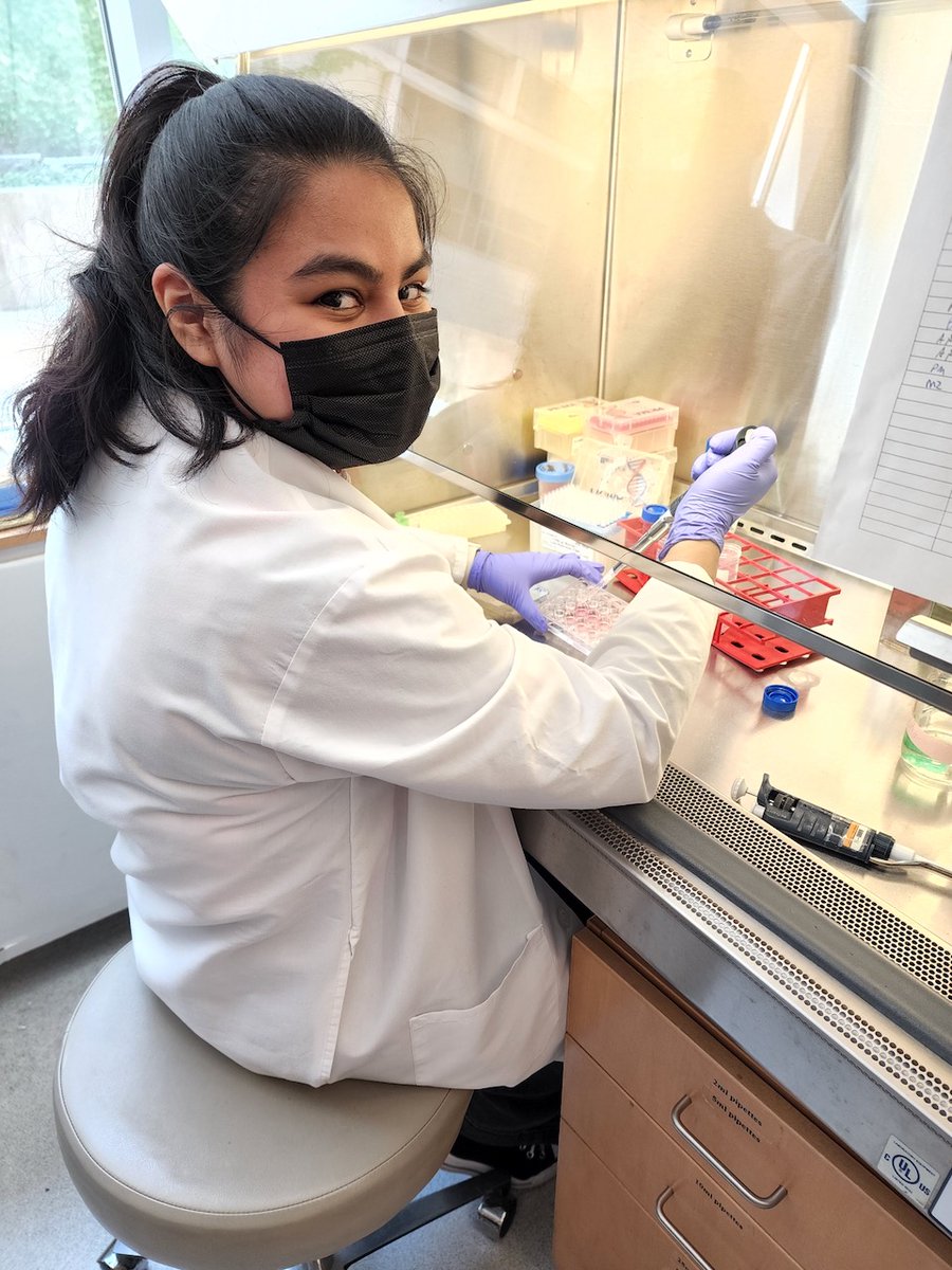 UCCancerCenter's tweet image. Applications for our 2023 summer programs are LIVE! Immersive research opportunities for high school students, high school teachers, and undergraduates. Visit uchicagomedicine.org/cancertraining for details! #ChicagoEYESonCancer #researcHStart #DiversityinCancerResearch