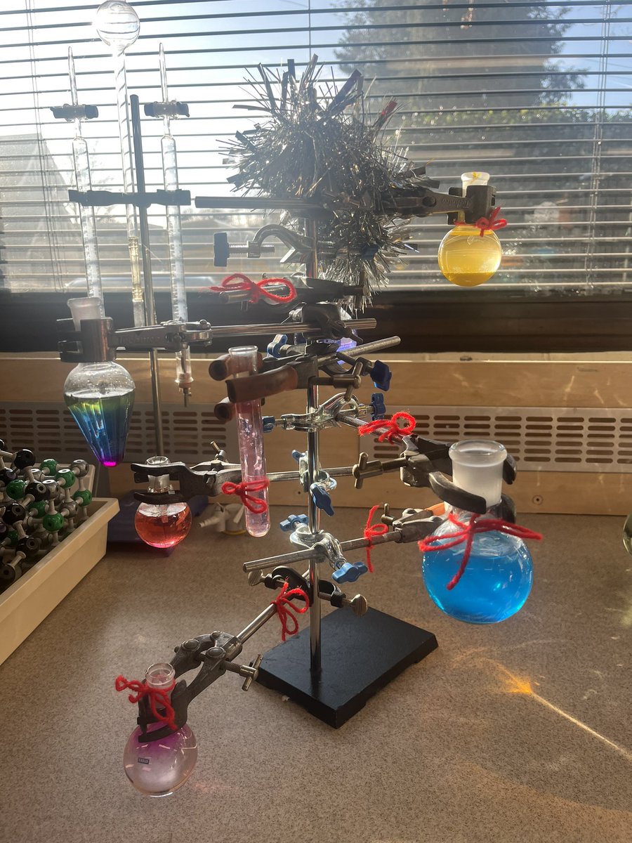 STAHSChemistry's tweet photo. Y13 Chemis-trees. Vote for your favourite one! https://t.co/nX5fRX6u44