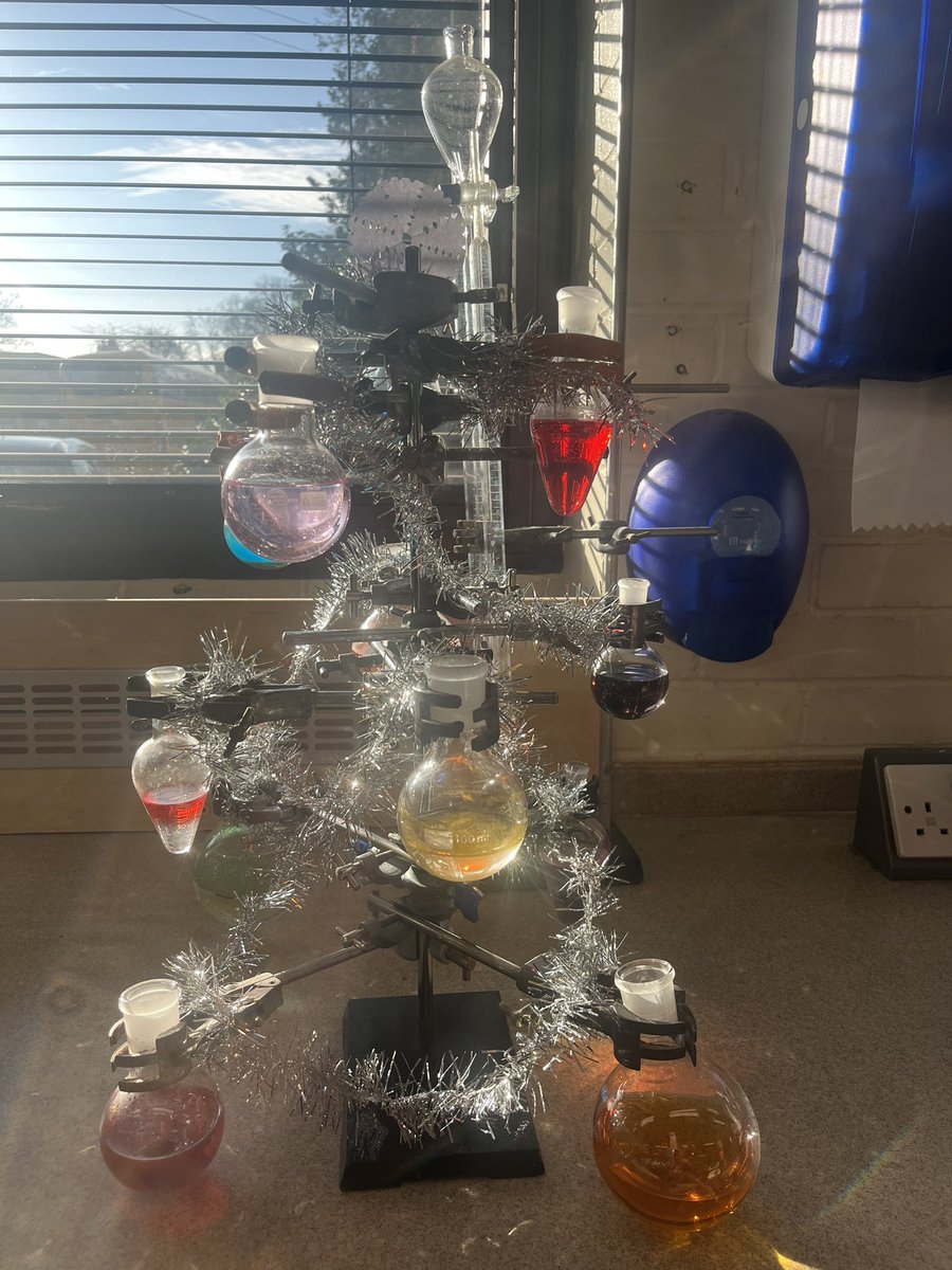 STAHSChemistry's tweet photo. Y13 Chemis-trees. Vote for your favourite one! https://t.co/nX5fRX6u44