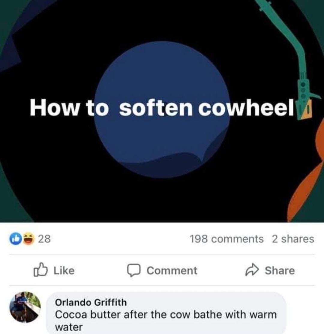 🤣🤣