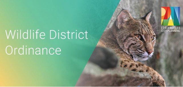 Studio City NC tweet media