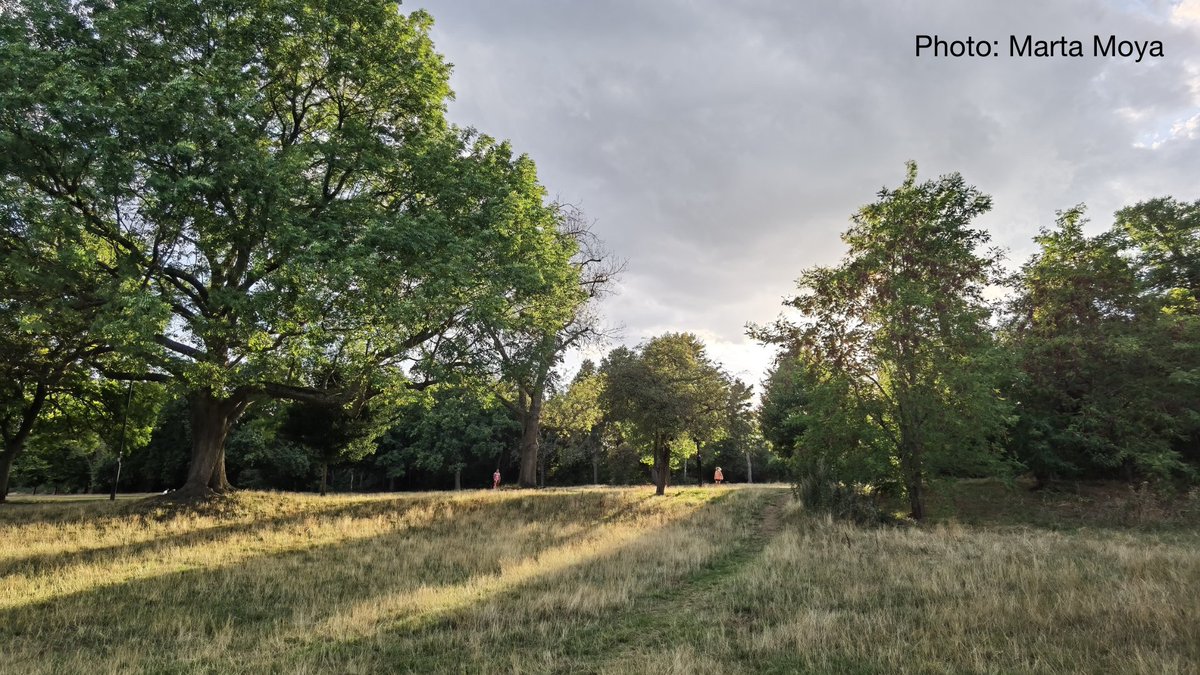 openspacessoc's tweet photo. This week, we’re celebrating the @iasc_commons #WorldCommonsWeek, designed to promote knowledge and experience of commons around the world. Head to our website to find a whole host of guidance and resources to help you protect your local common land: https://t.co/UDhbUsehf2 https://t.co/1ex6BDCn8j