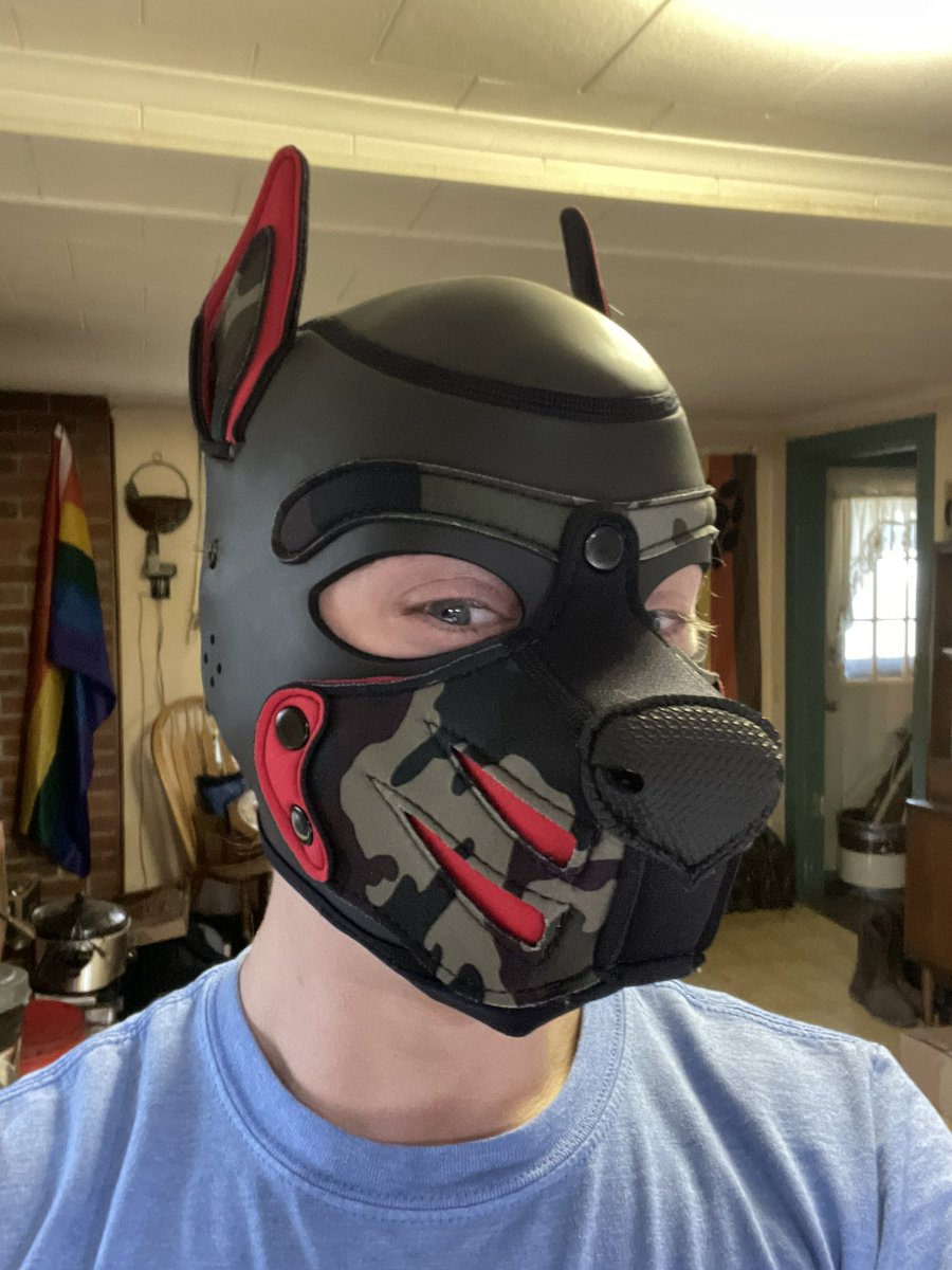 BetaPupMax's tweet photo. MY HOOD FINALLY ARRIVED!!!! *EXCITED TAIL WAGS AND BARKS* https://t.co/9rfkc2tLmG