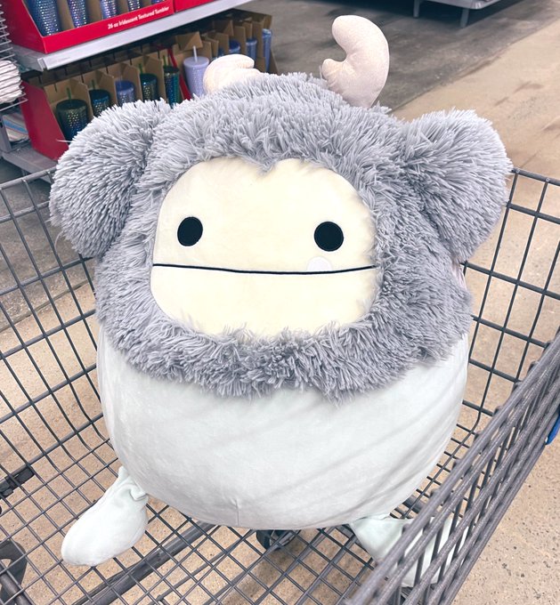 She&rsquo;s so cute https://t.co/k7YTT2oyr1