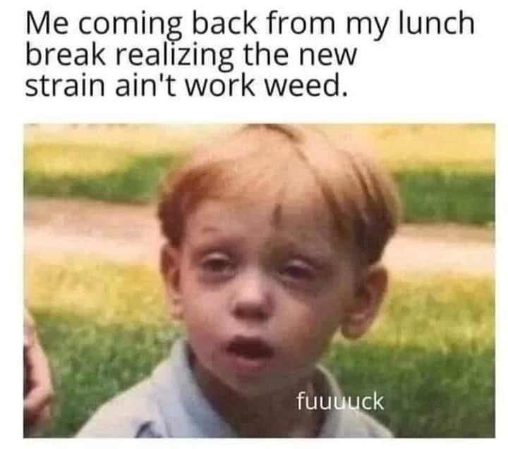 ProjectReleaf's tweet image. No more mystery blunts at lunch... 🫠 #ProjectReleaf #OKC #LunchBlunts #Slumpy #CannabisMemes #CannaCommunity
