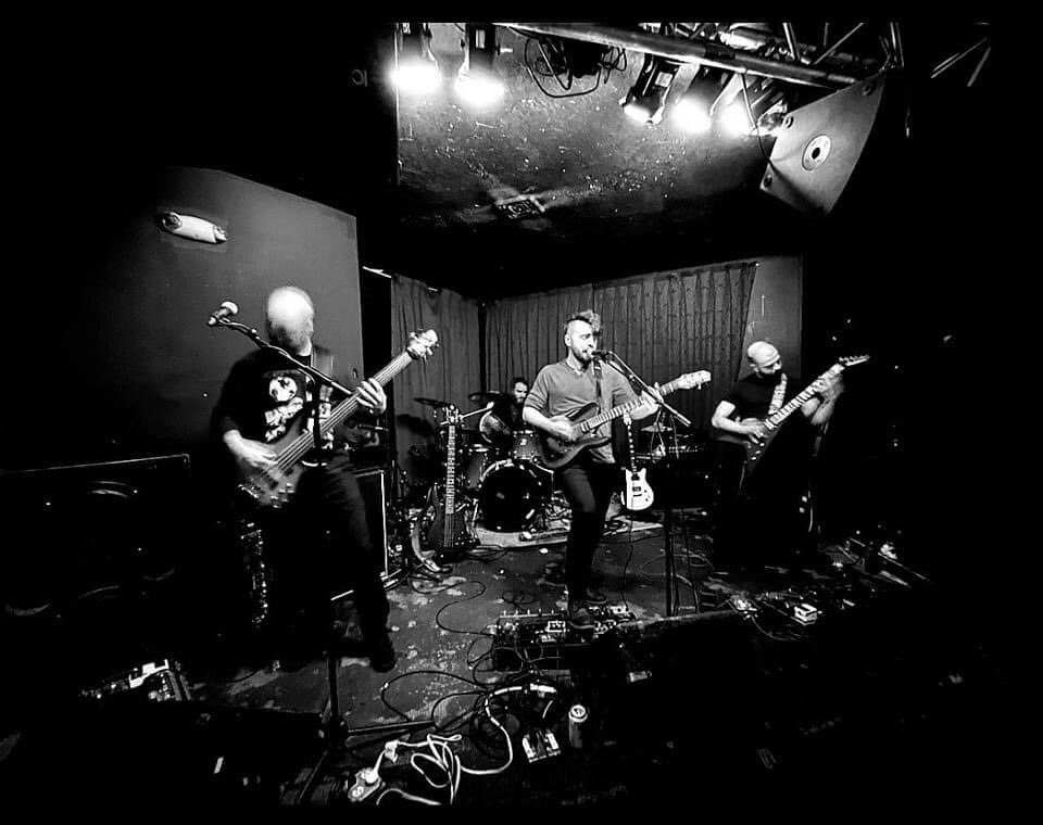 Without Waves tweet media