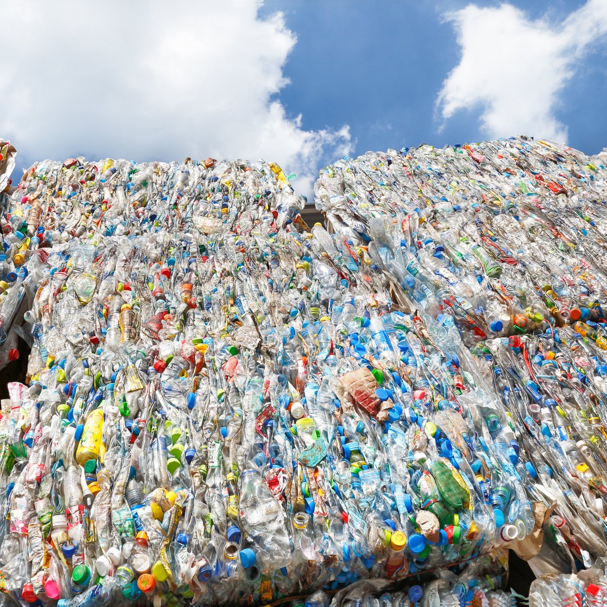 The Protecting Communities from Plastics Act, introduced last week, provides a much-needed course correction toward the safer, healthier and more sustainable future we all deserve. We look forward to supporting this important, promising legislation!

hubs.la/Q01v3kLP0