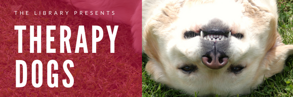 library_lscup's tweet photo. Happening now! Valentine and Andouille are waiting for you (yes YOU) until 1 p.m. in the Teaching Gallery (B12.805).

Are the therapy dogs the highlight of your day? Take a moment to leave a note for them as you head back into your day. 💌 https://t.co/BUmQkrEdvx