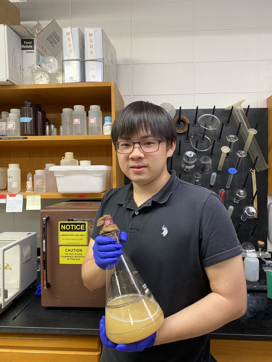 UGAChemistry's tweet image. Are you an undergraduate student interested in Chemistry research? Check out the new website for @UGAChemistry&apos;s Summer Undergraduate Research Opportunity (SURO) program. Applications open in January. uga-suro.squarespace.com