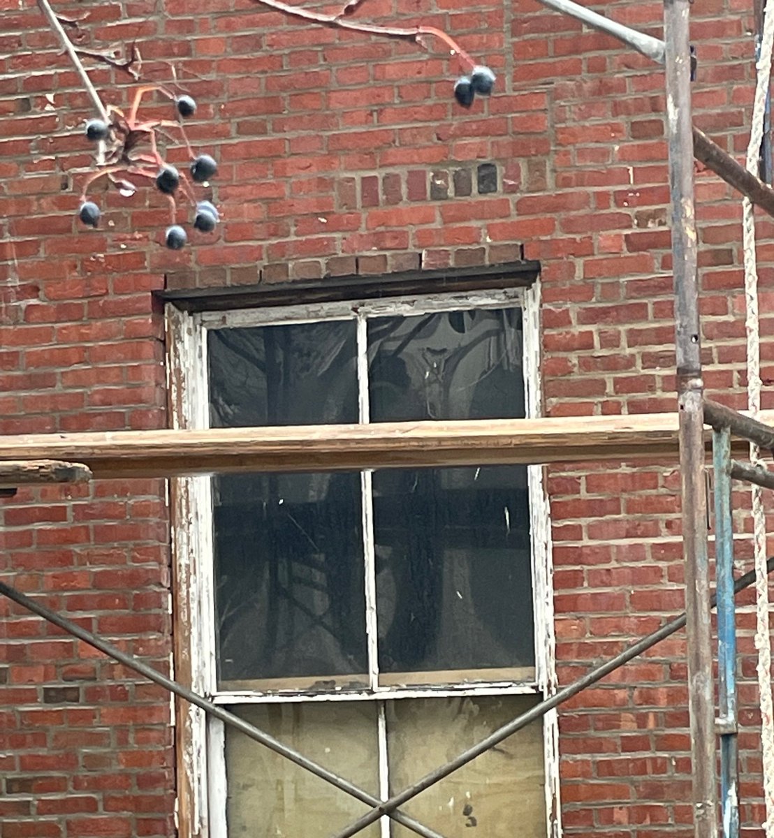 Marblehead Museum tweet media