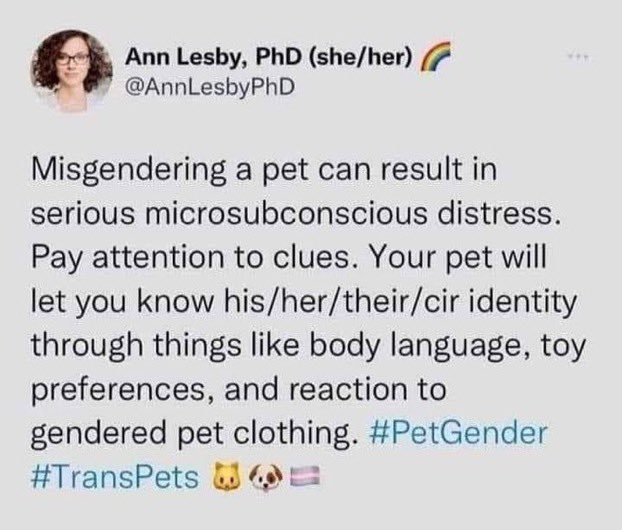 stephenindurham's tweet photo. I spoke to my cat and she told me to stop being a fucking wet lettuce & how did that woman get a fucking PHD.
#petgender #transpets https://t.co/mpNhT67o9b