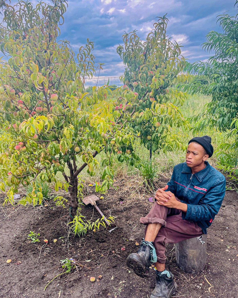 SkeemNoa's tweet photo. Aona Lekarapa Lao Thola Nex🤞🏾, Kgale Ke Nosetša 🍑 The Whole Year Bona Ba Duletše Properganda Le Iphi Ntombi Kwa Pretoria,Demet https://t.co/rWMG1eTQOY
