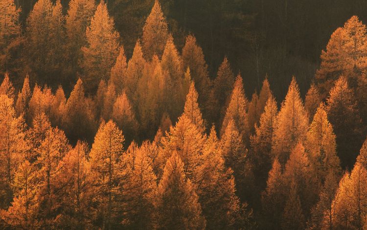 #LettureAppassionate d'autunno <a href="/IperboreaLibri/">Iperborea Casa Editrice</a> <a href="/Einaudieditore/">Einaudi editore</a> <a href="/AtlantideEd/">Atlantide Edizioni</a> <a href="/NeriPozza/">Neri Pozza</a> <a href="/Mondadori/">Mondadori</a> #inostriconsigliati #palazzoroberti #bassanodelgrappa - mailchi.mp/palazzoroberti…