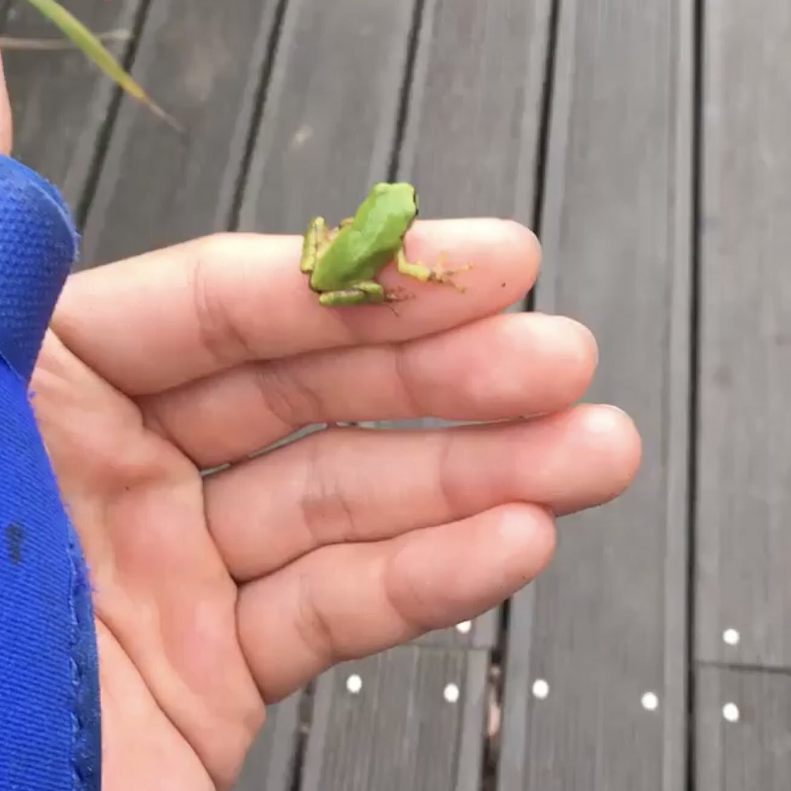 smilesofnam's tweet photo. joon's perspective vs. the 🐸 perspective https://t.co/T1xcSHC2p5
