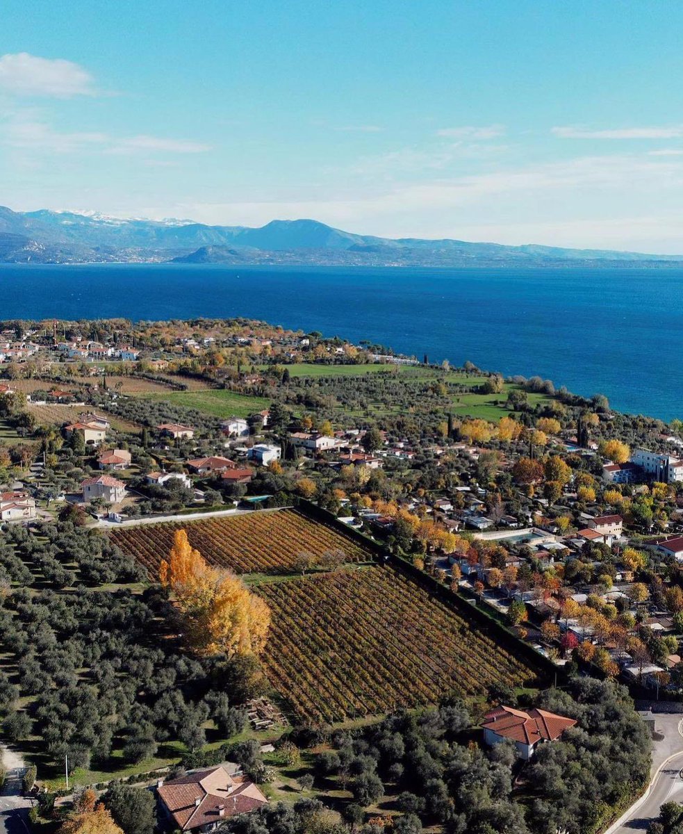 GardaOutdoors's tweet photo. #Valtenesi del Garda: territorio di-vino immerso fra borghi e colline.

Venite alla scoperta di antichi borghi, castelli medievali, belle passeggiate e ottimo vino... tutto vista lago!

https://t.co/Wh5NNdp5on

📸prolocoMoniga https://t.co/WUIen5F0lb