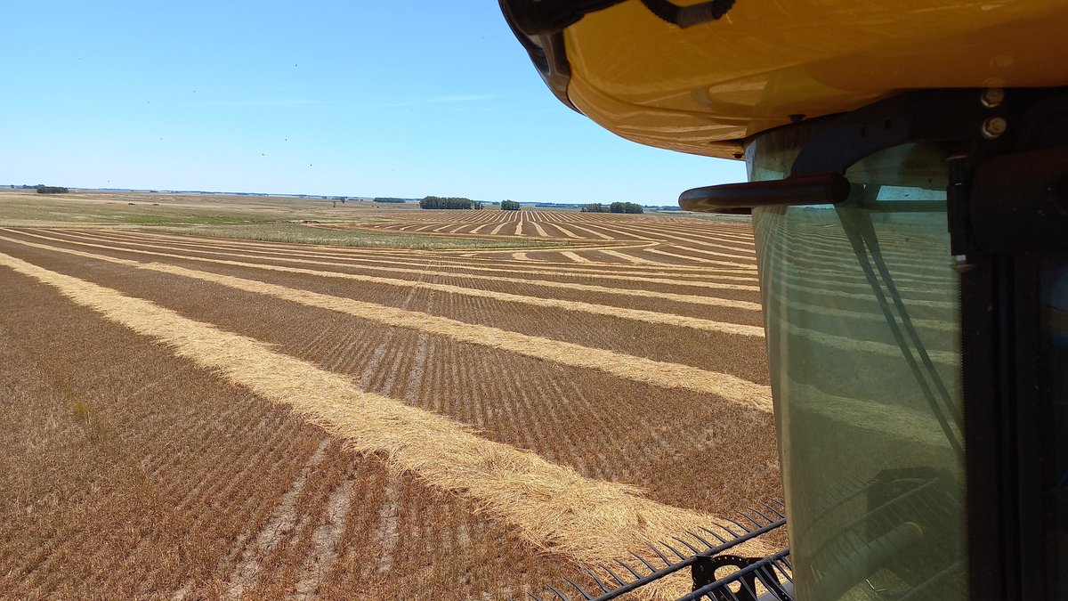 Germinar tweet media