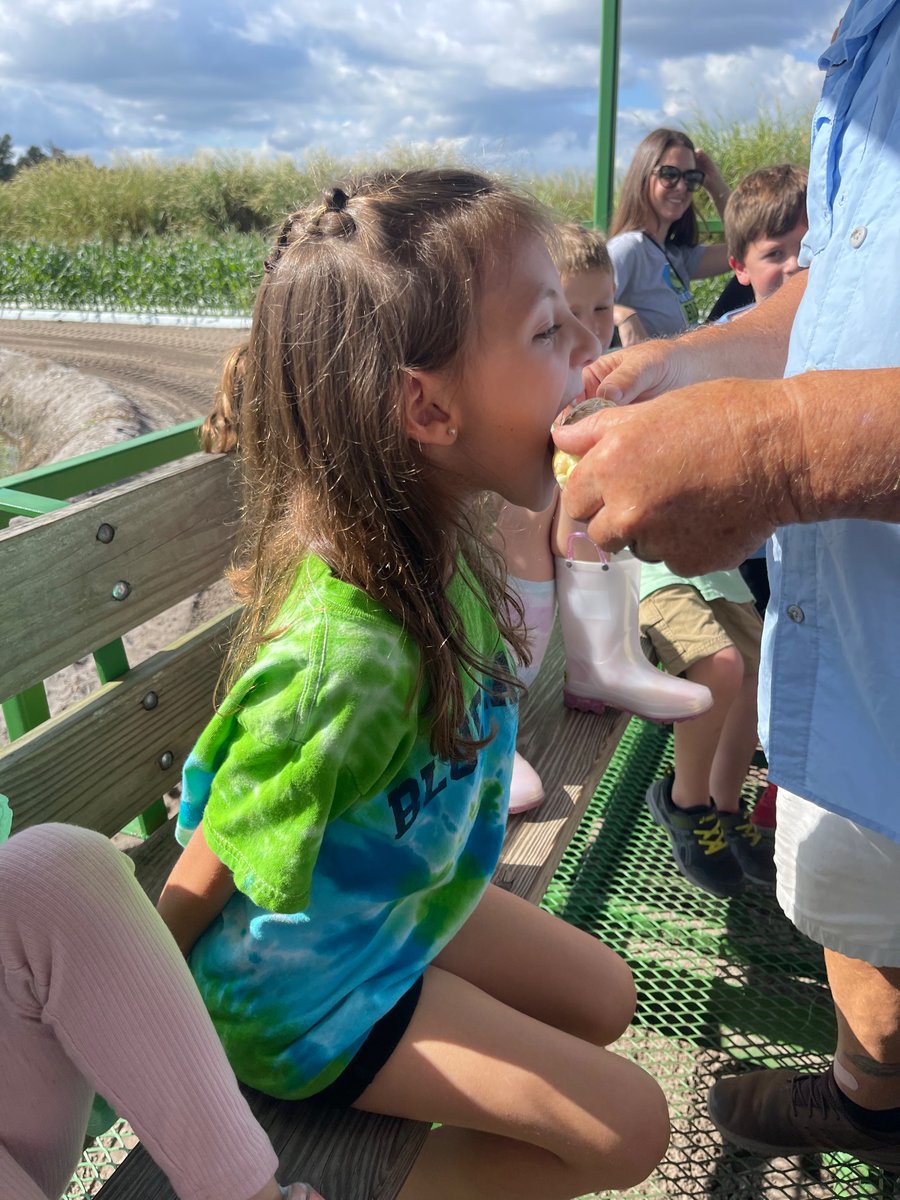 Kelsey Bowser tweet media