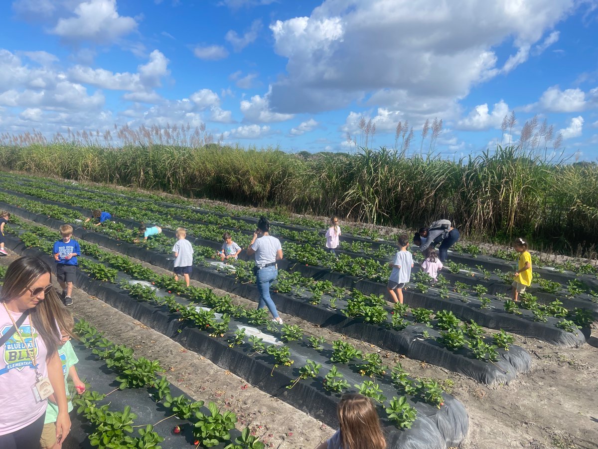 Kelsey Bowser tweet media