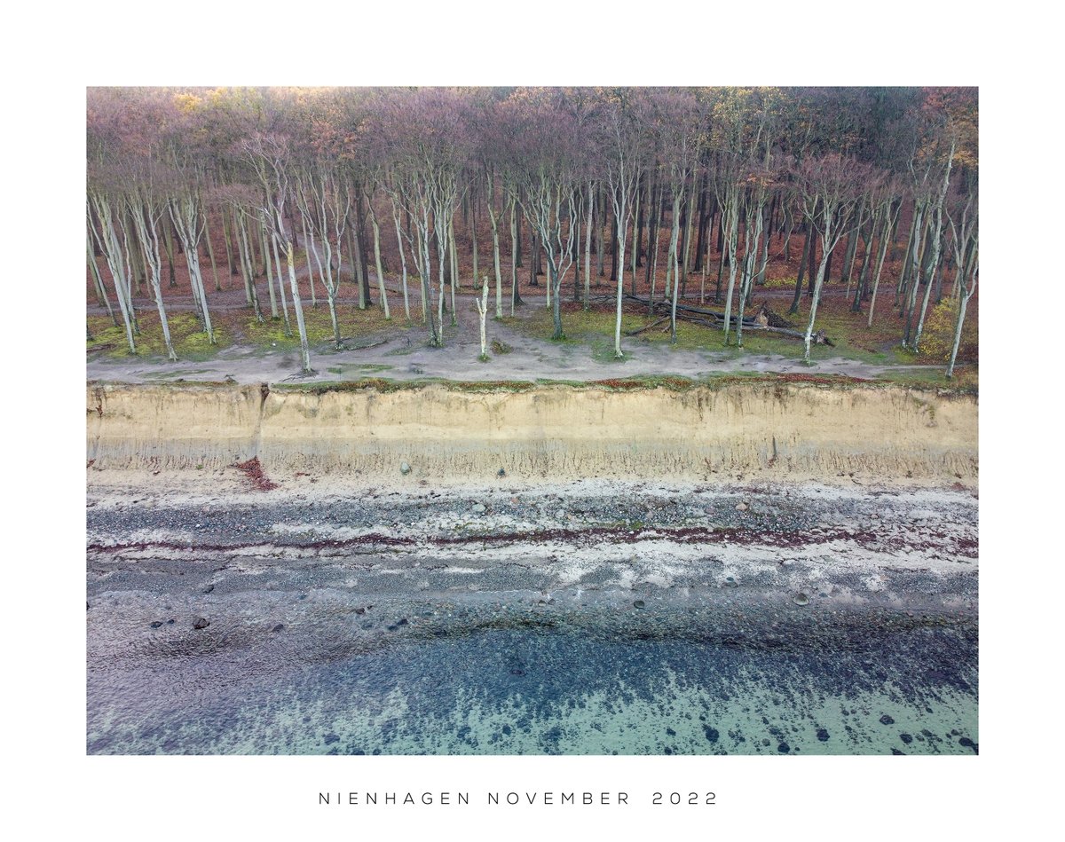 Thomasdphoto's tweet photo. This image shows the "Ghost Forrest" at the  Baltic Sea near Rostock. Shoot with my dji mavic mini. https://t.co/mz9ebHRg3u