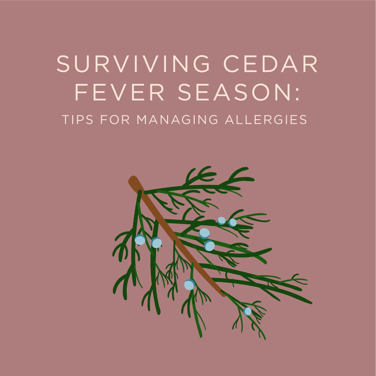 Premier ER & Urgent Care on Twitter: