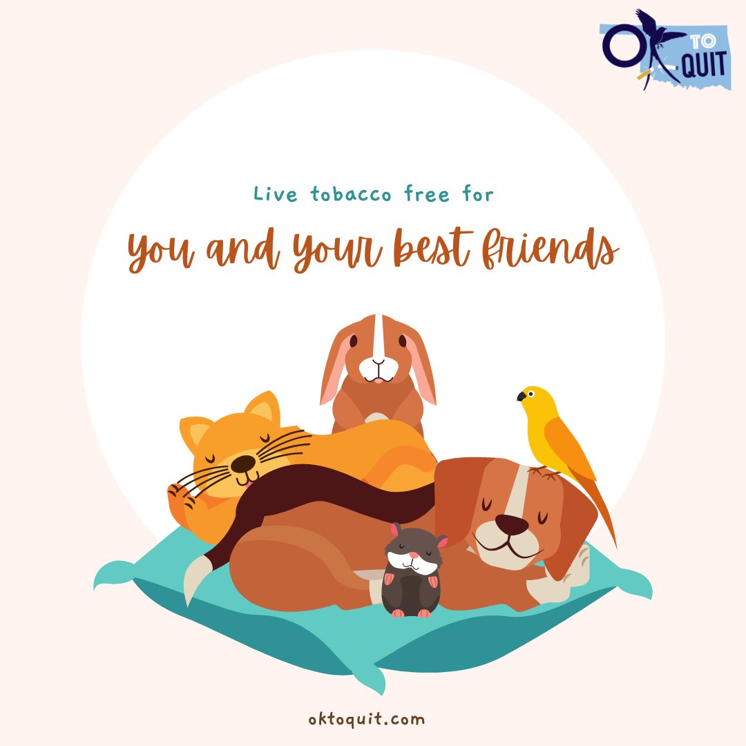 Smoke isn’t the only danger to your pets. All #nicotine
is toxic to pets! Make your home more pet friendly by
quitting tobacco today. Talk to your doctor and visit oktoquit.com for free resources. 
#oktoquit #petsarefamily #furbabies #Oklahoma #OklahomaCity #Tulsa