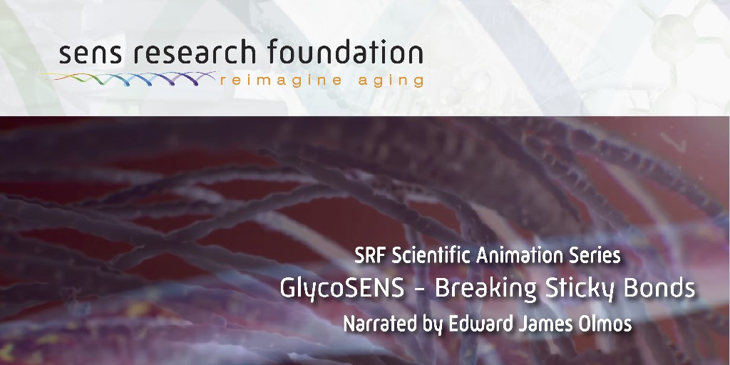 LifespanRI's tweet photo. A molecule to help avert heart disease, kidney damage, and stroke? Watch the SENS approach to one day getting aging under medical control. https://t.co/zVoVoBSPSv #extracellularmatrix #crosslinking #endingaging #glycoSENS #SENS #sensresearchfoundation #stroke https://t.co/3bW386VCIo