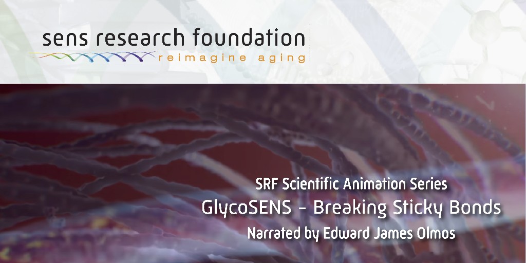 A molecule to help avert heart disease, kidney damage, and stroke? Watch the SENS approach to one day getting aging under medical control. ow.ly/zGnq50LXIgC #extracellularmatrix #crosslinking #endingaging #glycoSENS #SENS #sensresearchfoundation #stroke