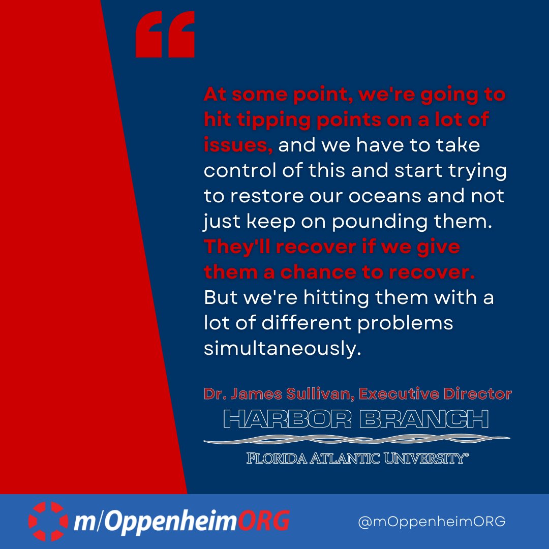 #NonprofitReport: On 11/17,  we discussed protecting the #ocean, with special guest:

Dr. James Sullivan, Executive Director of <a href="/HarborBranch/">Florida Atlantic Harbor Branch</a>
 
youtu.be/rUHUycvG6Dk

#oceans #environment #climatechange #cleanoceans