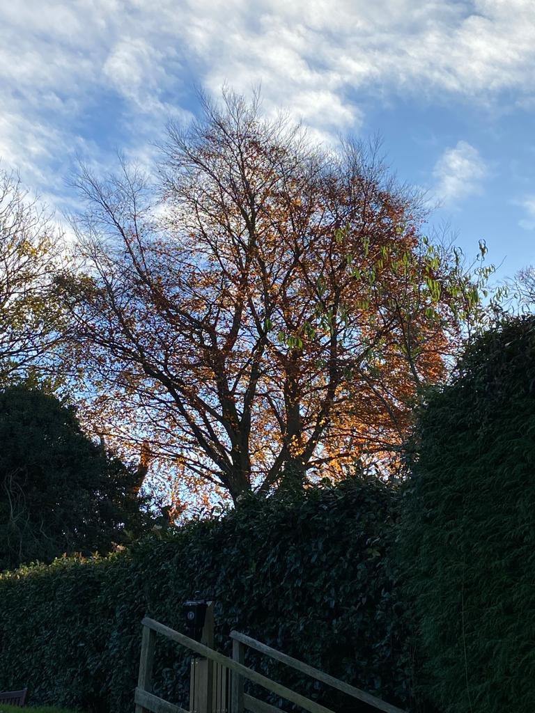 The final countdown for <a href="/wpgcgolf/">Wimbledon Park GC</a> with players getting in as many rounds as possible before their club is closed by the AELTC. This facility will be removed on 1/1/23 from the 200 junior golf members as well.