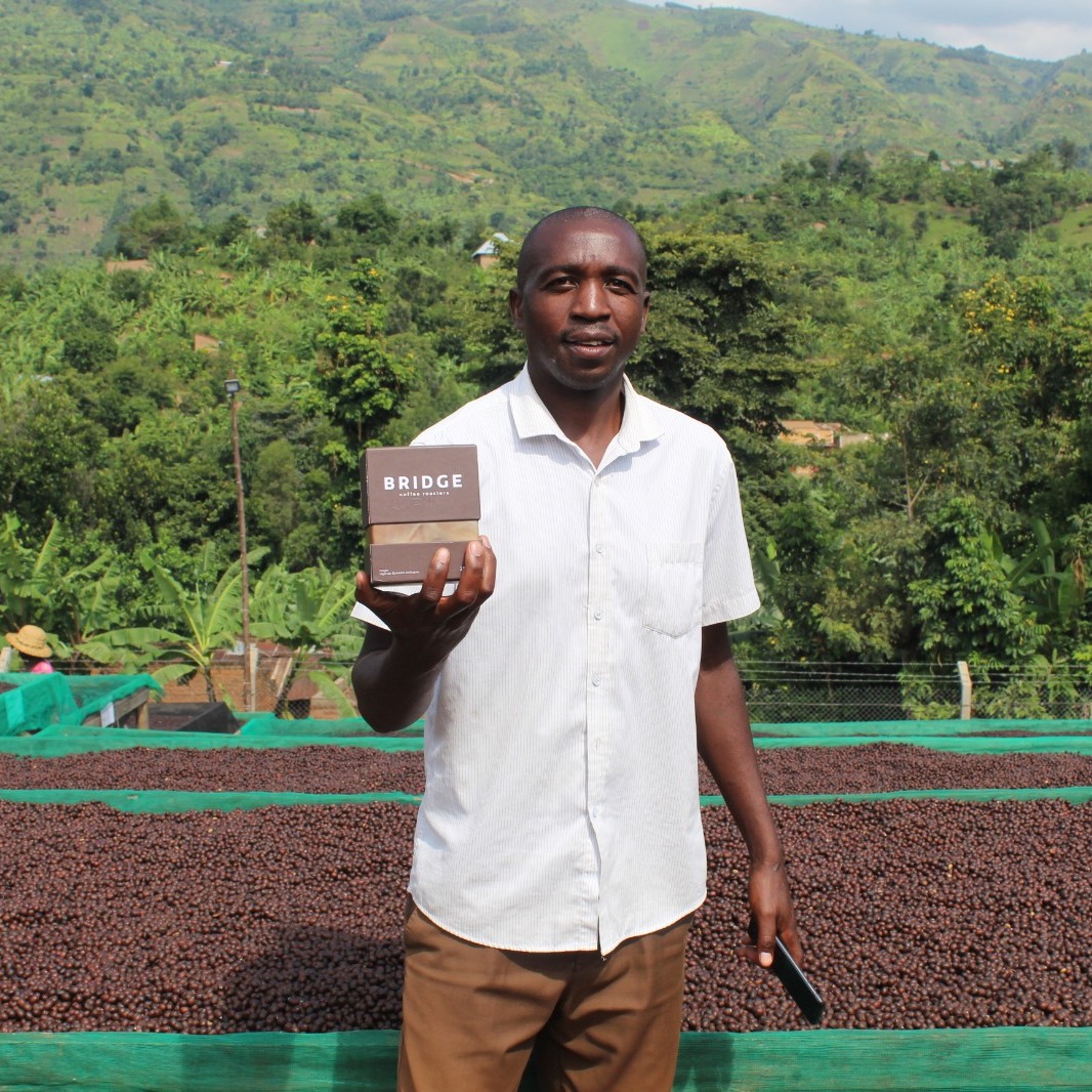 Bridge Coffee Roasters tweet media