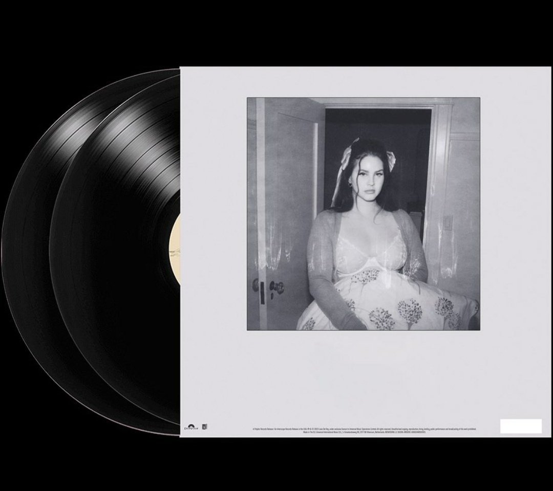 lys renault tweet media