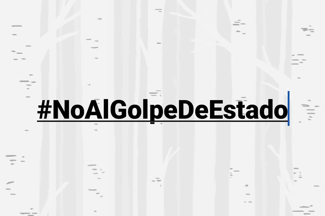 cristinaq's tweet photo. #NoAlGolpeDeEstado 

Constitución Política del Perú
Artículo 46°. Nadie debe obediencia a un gobierno usurpador, ni a quienes asumen funciones públicas en violación de la Constitución y de las leyes. https://t.co/t96juJYy9F