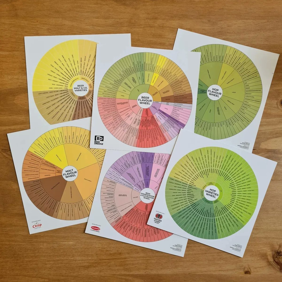 markdredge's tweet photo. Looking for the perfect gifts for beer lovers! I've got the Beer Flavour Wheels, so you can always find the right words to describe your beer (and the perfect stocking-filler). Plus there's notebooks, posters and books! Check them out here: https://t.co/FXDRpFJ1xH https://t.co/4M6XYZgaLO