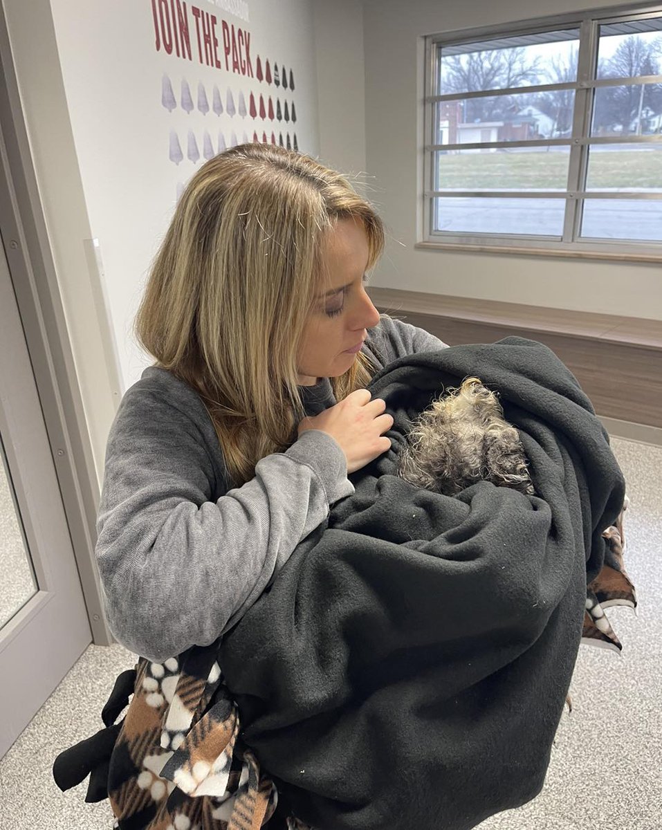 Just #Rescued! This poor dog was found by kids who brought it to our new shelter. Our team quickly wrapped it in a warm blanket & are headed to our vet. This dog is barely clinging to life, but we'll do everything we can. Please consider donating now at DetroitDogRescue.com