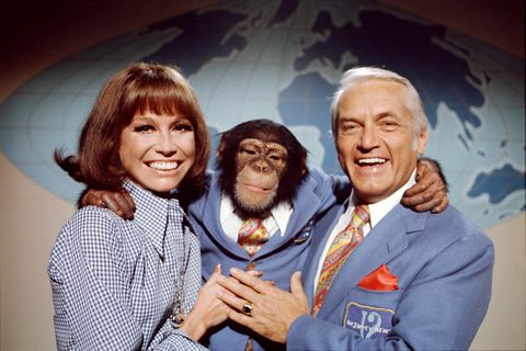 RealGilbertACP's tweet photo. #GGACP #MonkeyWednesday #BONUS #TedKnightDay @Franksantopadre @RealGilbert @MaryTylerMoore7 @RheinEsq @fotiadis_art @ECSquares_music https://t.co/tknrpPiyB9