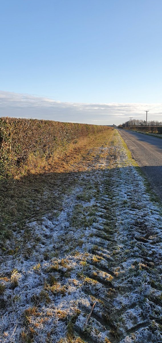FenFarmPestCtrl's tweet photo. Sunshine,frost,good travelling. Spearhead Twigga 6.5 doing the job for new customer Andrew Ward on his heathland farm roadsides.
@wheat_daddy 
@SpearheadWorld 
@Sharmansagri 
#hedges
#roadsides
#environment 
#caringforthecountryside
#farming https://t.co/o5ZQ6ZKsOq