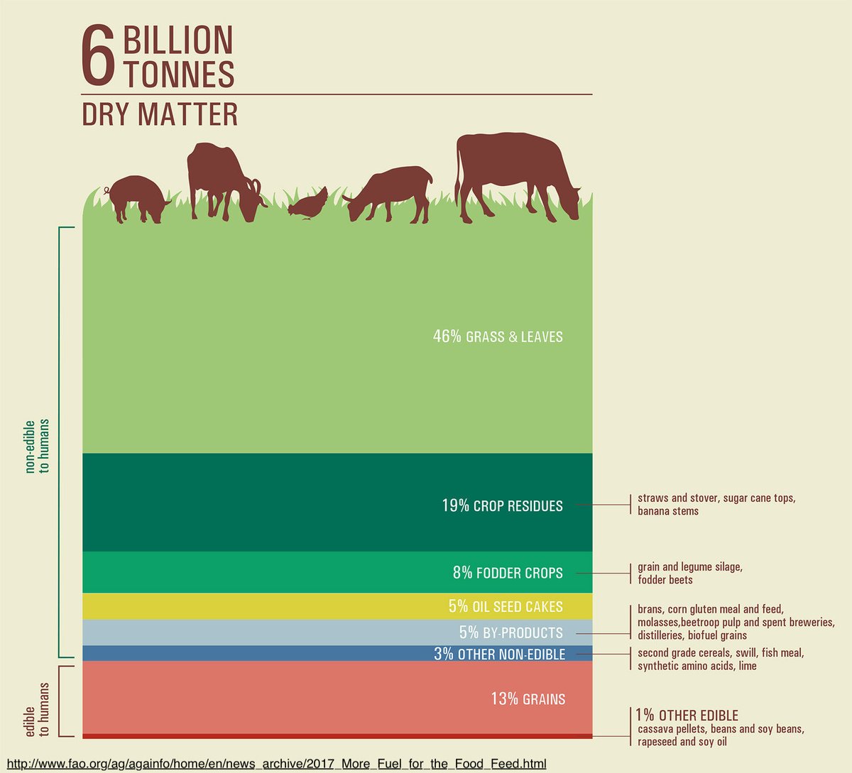 GRASS FED vs GRAIN FED BEEF It’s time to settle this hotly debated