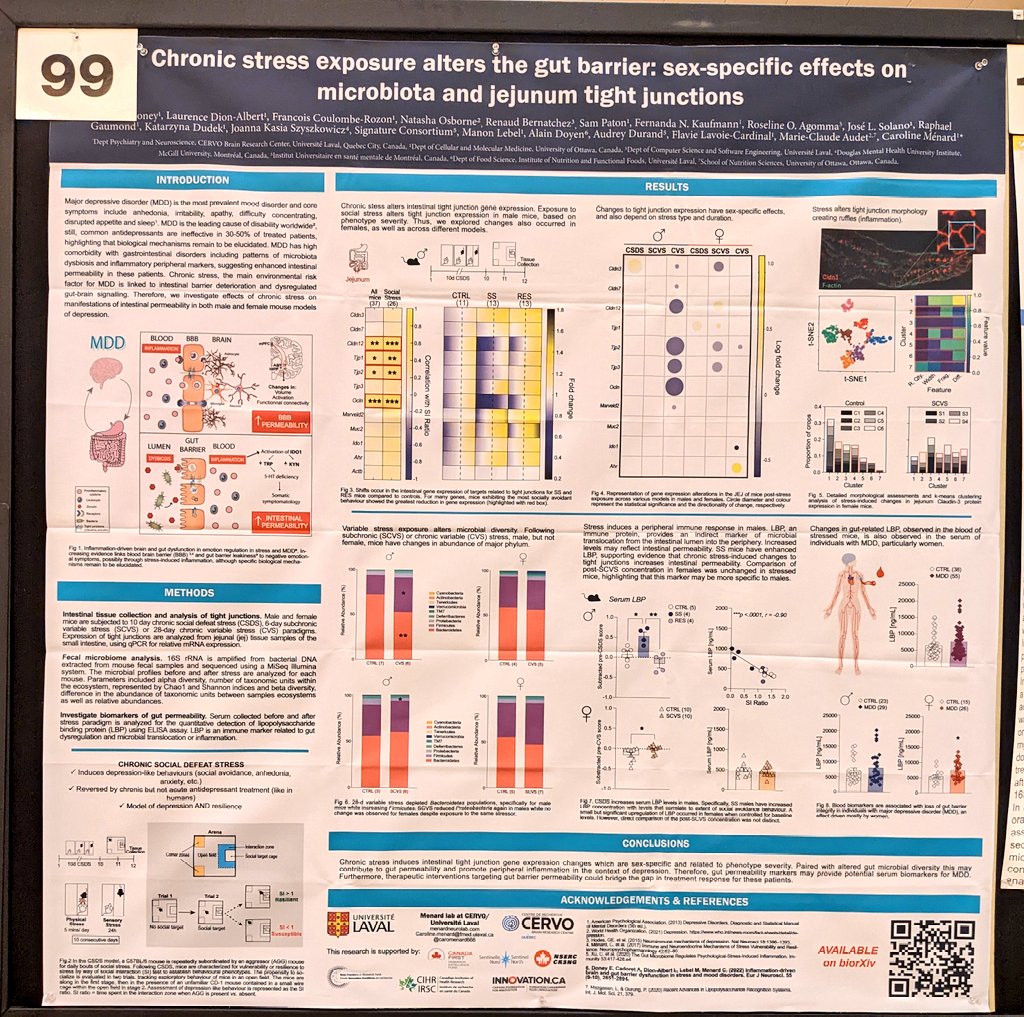 caromenard666's tweet photo. For those of you still at #ACNP2022 tonight I will present the very 1st gut barrier project of the lab led by @elldonee #stress #depression #SABV https://t.co/aKmnsWQk0v