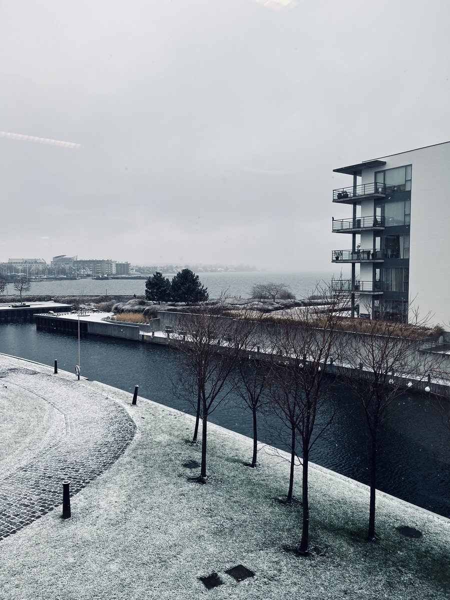 With the first snow came a rare moment of silence and realisation; 1 yr ago I was offered a position <a href="/novonordiskfond/">Novo Nordisk Foundation</a> and what transition, what journey it’s been already! No more hands-on research but enabling science in ways I could only dream off
